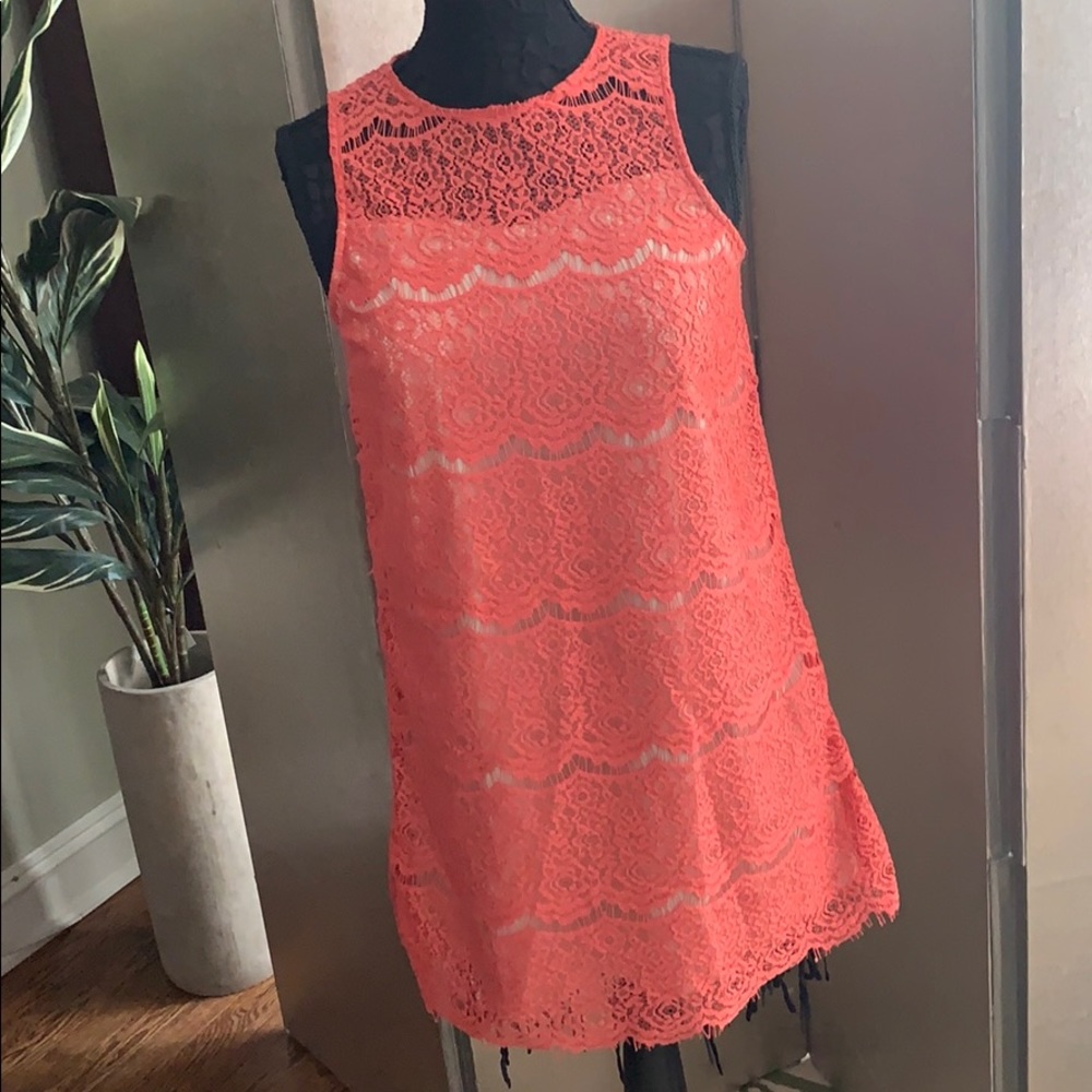 Bleuh Ciel Lace Dress